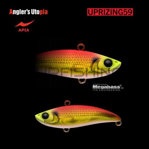 Apia APIA UPRIZING 59 12gr 59mm 01 Red Gold Konoshiro