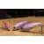 Apia APIA UPRIZING 59 12gr 59mm 06 Joker XX