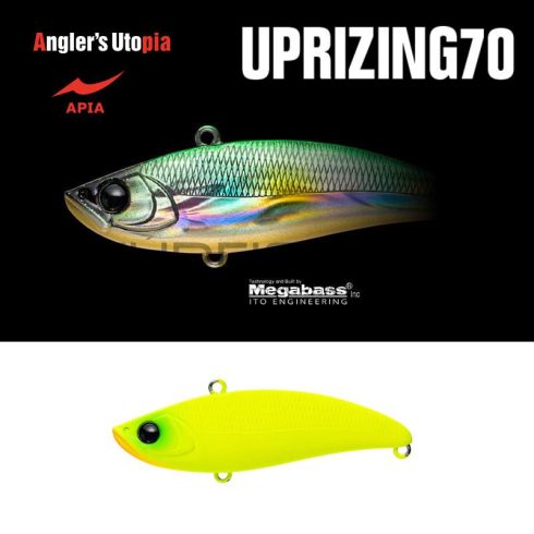 Apia APIA UPRIZING 70 14gr 70mm 03 All Chart