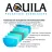 AQUILA GHILLIE POLARIZED TORTOISE-BROWN