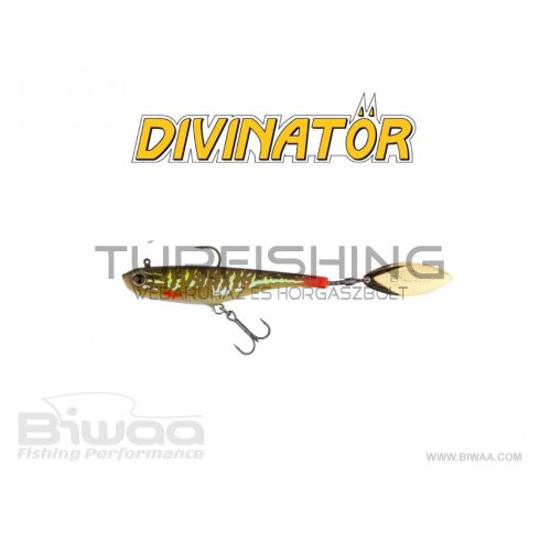 Biwaa DIVINATOR MEDIUM 18cm 35gr 54 Northern