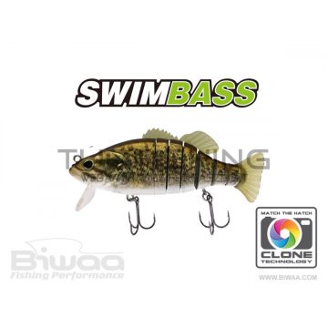 Biwaa SWIMBASS 6" SLOW SINK 15cm 65gr 35 Smallie