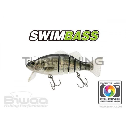 Biwaa SWIMBASS 6" SLOW SINK 15cm 65gr 51 Brazino