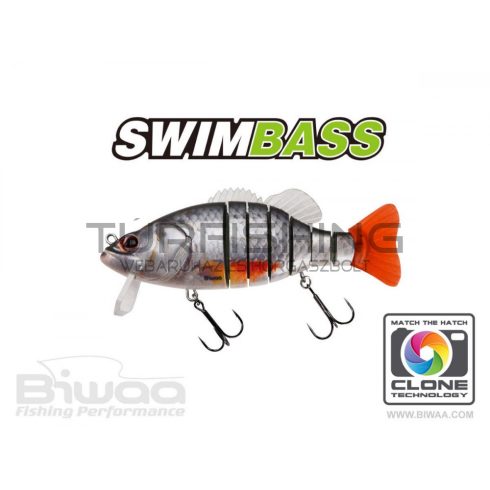 Biwaa SWIMBASS 6" SLOW SINK 15cm 65gr 38 Roach