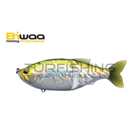 Biwaa BIWAA GLIDEBEAST 145S 14.5cm 57gr D019 Dos Vert