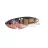 Biwaa BIWAA BIWIBE BLADE 11gr #CT02 Real Perch