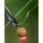   FOX EDGES™ WIDE GAPE LONG SHANK hosszú szárú bojlis horog 6-os méret