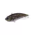 Duo DUO REALIS VIBRATION 68 G-FIX 6.8cm 21gr CCCZ103 Goby ND