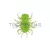 Duo DUO REALIS KONINMUSHI 3.2cm F037 Lime Chart