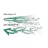   Duo DUO ROUGH TRAIL MAKIFLAT 155F 15.5cm 50gr ASA0707 UV Silver Shad