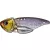 Evergreen EVERGREEN LITTLE MAX TG MUSCLE 4.5cm 3/8oz 10.5gr #209 HOLOGRAM WAKASAGI