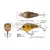 Evergreen EVERGREEN PICCOLO DIVE SHALLOW 4cm 6.4gr #66 FLASH CLOWN