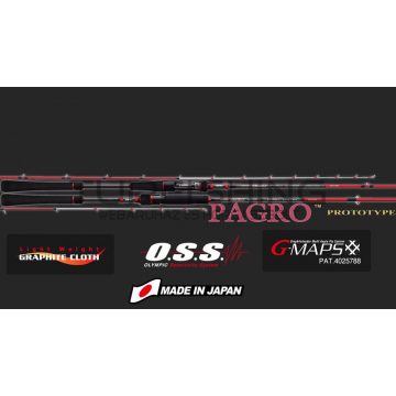   Graphiteleader NOUVO PAGRO CAST GNPC-6102L-S R FAST 2.05m MAX 100gr