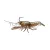 LIVETARGET LIVE CRAW FINESS BAIT  ORANGE PUMPKIN 75MM 14G SLOW SINKING