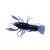 LIVETARGET 2.8" CRAWFISH UN-RIGGED BLUE / PURPLE 71 MM  SINKING 6DB/CS