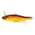 Megabass MEGABASS ANTHRAX 100 100mm 14gr AKA TORA