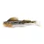Megabass MEGABASS DARK SLEEPER 3" 1/2oz 76mm 14gr HAZE