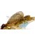 Megabass MEGABASS DARK SLEEPER 3" 3/8oz 76mm 10.5gr CLEAR CHART