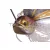 Megabass MEGABASS SV-3 SPINNERBAIT DW 14gr WHITE CHART