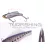 Megabass MEGABASS BIRAN 70 15gr GG IWASHI