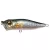 Megabass MEGABASS POPX 64mm 7gr FA WAKA AYU