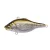 Megabass MEGABASS VIBRATION-X SMATRA RATTLE IN 64.5mm 14gr GG BRILLIANT SHAD