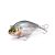 Megabass MEGABASS HADARA TRAP 70  70mm 17gr ROLLING CHART SECRET
