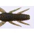 O.S.P OSP DOLIVE CRAW 2" 5cm TW107 Green Pumpkin Chart