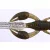 O.S.P OSP DOLIVE CRAW 3" 7.6cm W001 WaterMelon pepper