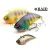 Raid Japan RAID LEVEL VIB 54mm 10.6gr 051 Amazing Shad