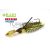 Raid Japan RAID MAXX BLADE SPEED 14gr 07 Guricha Shad
