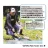   Varivas VARIVAS SUPER TROUT AREA ES2 ESTER NATURAL 80m 0.091mm 1.75lb