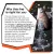 Varivas VARIVAS SUPER TROUT AREA SUPER ESTER NEO ORANGE 140m 0.090mm 1.4lb